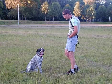 Blanding af racer Berta - her træner Ronni Berta,  og det er noget hun rigtig godt kan lide billede 13