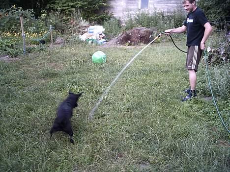 Blanding af racer Bertha - Jeg skal nok få den igen du billede 10