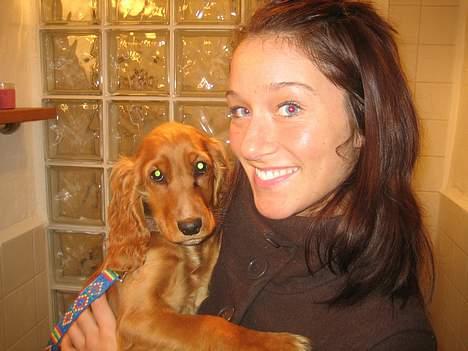 Cocker spaniel Bella aka Jelly Belly billede 3