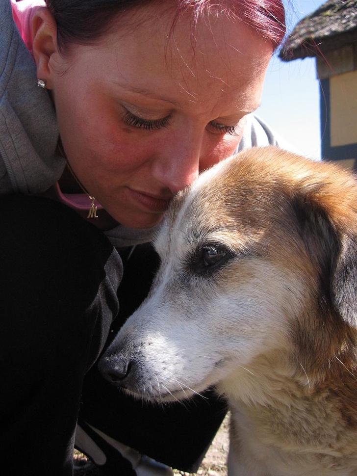 Blanding af racer Bobbi *død 27 April 07* - En af de sidste dage sammen med Bobbi billede 9