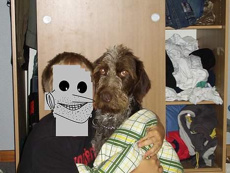 Ruhåret hønsehund <3 Zenta <3(Død))-: billede 12