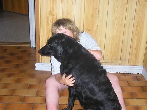 Blanding af racer Esmaralda R.I.P billede 5