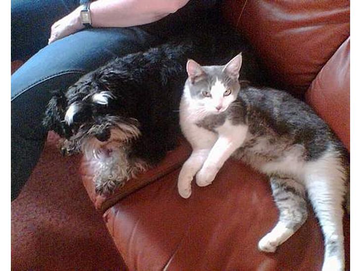 {{currentPhoto.altText}} billede {{currentPhoto.number}}