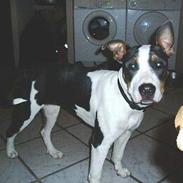 Blanding af racer blue