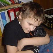 Fransk bulldog Arthur *Død* 8.Juli 2007.