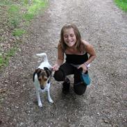 Dansk svensk gaardhund Kvik