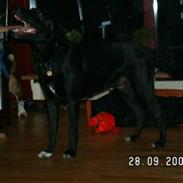 Blanding af racer Malthe