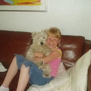 West highland white terrier Buster