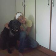 Labrador retriever lady