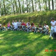 Keeshond Keeshos Arthur