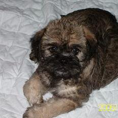 Blanding af racer Zitta