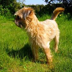 Blanding af racer Zita