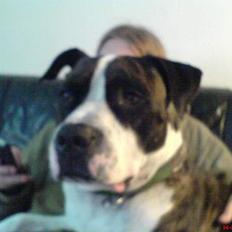 Blanding af racer Jack