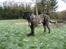Mastiff engelsk mastiff Hogan