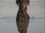 Dobermann *¤*Grace/Chica*¤* R.I.P. - NYT 19/6-2007