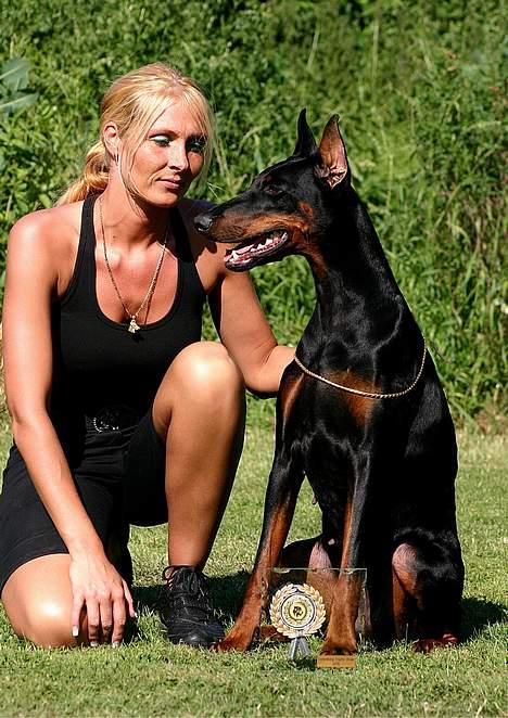 Dobermann DiaZ  Van`t Hof ter Helle - Mors pige.... billede 18