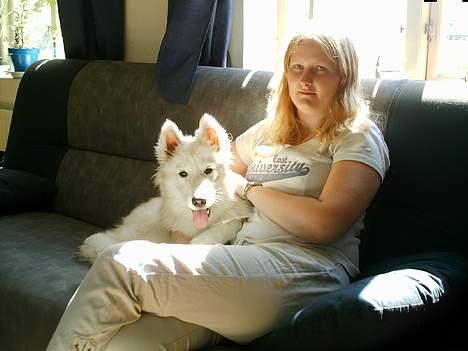 Samojedhund Igglo - Jeg elsker at ligge og hænge hos mor... billede 11