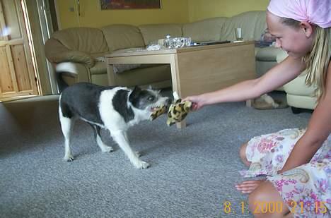 Blanding af racer Kiki - Kiki leger med Lillesøster billede 18