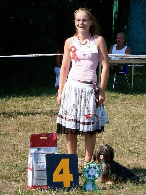 Lhasa apso  LAUNA  - her har vi lige vundet en 4 plads i best in show er kanon stolt hun blev også cac-b billede 5