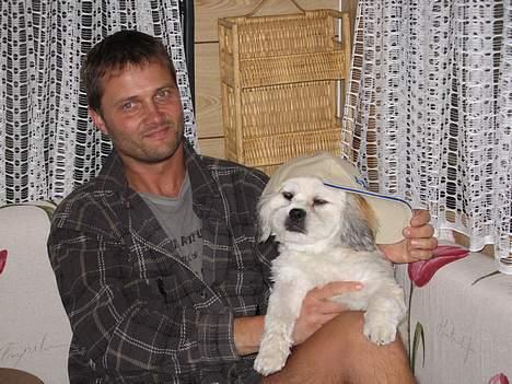 Lhasa apso Molly  - looooooooooooooooooooooooooooooooool far grinern billede 14