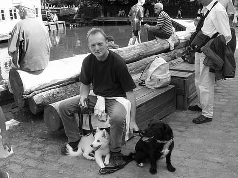 Dansk Spids Baloo billede 14