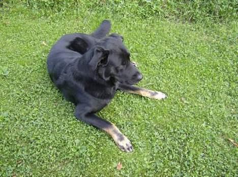 Blanding af racer Batmand - Hmm! hvad var det? billede 8