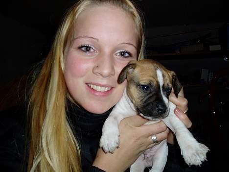 Blanding af racer Basse - min nye ejer og mig da jeg kun var 6 uger billede 10