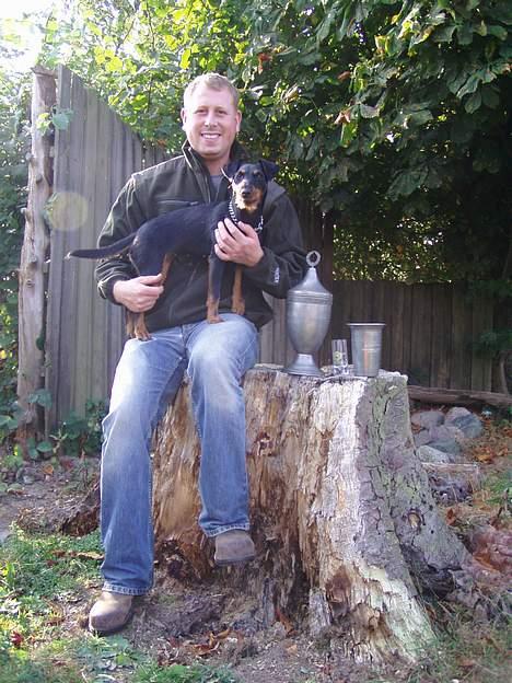 Tysk jagtterrier Ayo billede 3