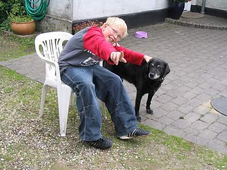 Labrador retriever Blackie<3 {I Hundehimlen} - Hyggestund mellem Lasse (lillebror) & Blackie - <3  billede 6