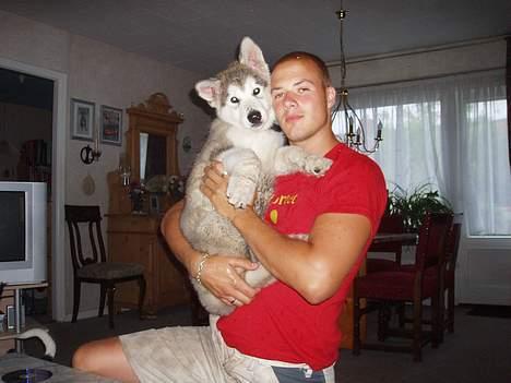 Alaskan malamute Mikkelsborgs Kido Aslan - Aslan og far billede 12
