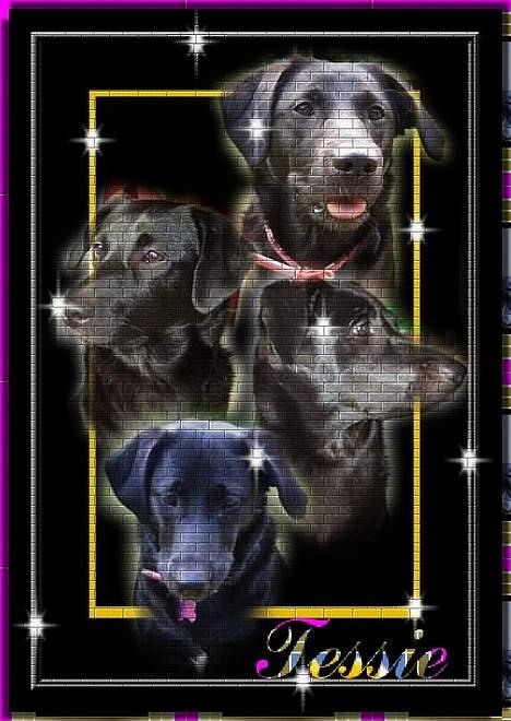 Blanding af racer Tessie - Her er jeg så ;b . billede 17