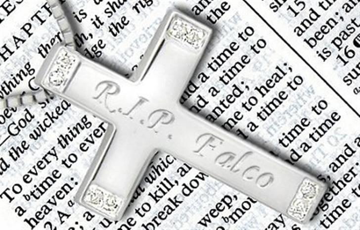 Schæferhund Maegaard's Falco R.I.P billede 9