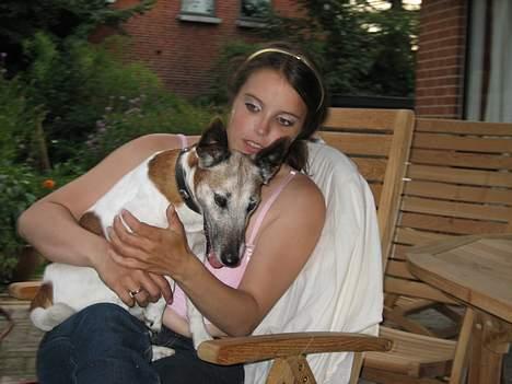 Glathåret foxterrier BOB - Gider ikke det der putte nusse ting billede 2