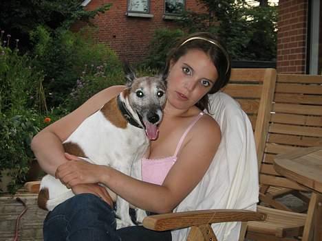 Glathåret foxterrier BOB - Sidder her sammen med sin moar billede 7