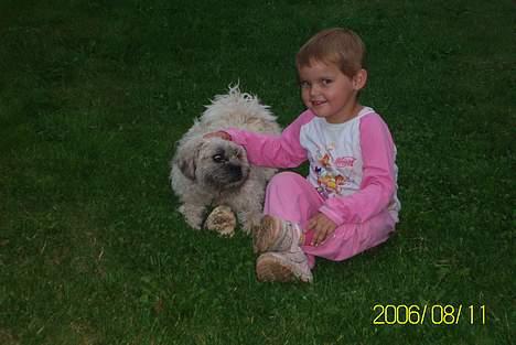 Blanding af racer Zitta - Min bedste ven Lærke.. Vi kan bare lege i timevis, men nu skulle vi altså have en pause. billede 10