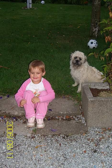 Blanding af racer Zitta - Er vi ikk bare søde..? billede 11