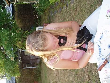 Fransk bulldog Fiona - uddeler kys billede 5