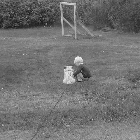 Blanding af racer max <3 billede 19