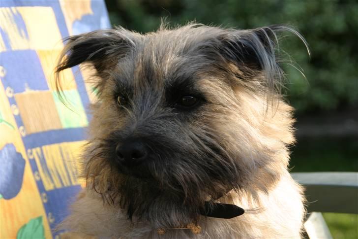 Blanding af racer max <3 billede 20