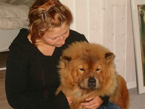 Chow chow Lazie (død 15/2-07) - Moar er den bedste billede 15