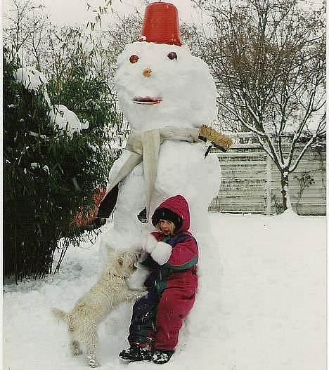 West highland white terrier sisse *død* † billede 9