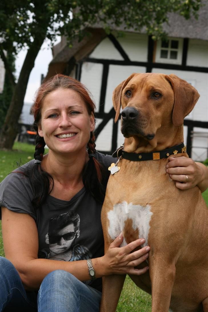 Rhodesian ridgeback pluto - Elsker dig Plut :) billede 15