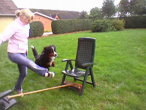 Berner sennenhund Balder (: - ~billede13~August2006. Stine og Baldus i fuld fir´spring!! ehm, hvem springer mest? :D haha. [fotograf: mig] billede 13