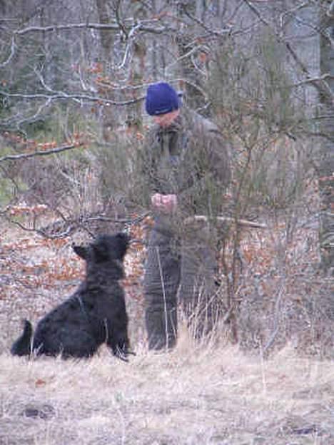 Picard Alpha Natura Uccas billede 5