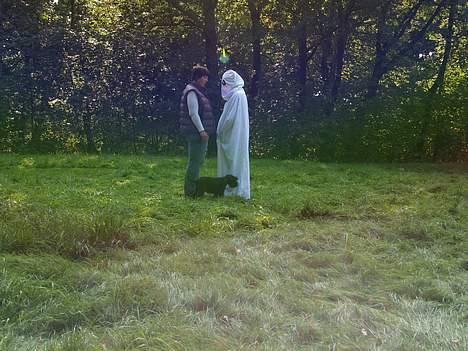 Dvaergschnauzer Sváva's Ayla - Thea - Billede fra Theas mentaltest billede 14