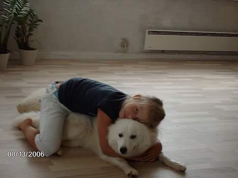 Samojedhund Åse - Åse&Anine <3 billede 5