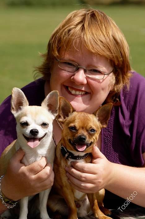 Chihuahua Tusse billede 19