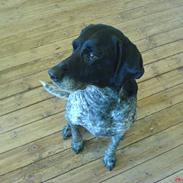 Blanding af racer Trine R.I.P