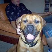 Blanding af racer MOSS