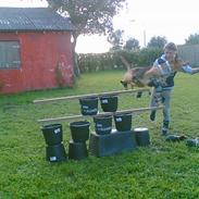 Blanding af racer BASSE